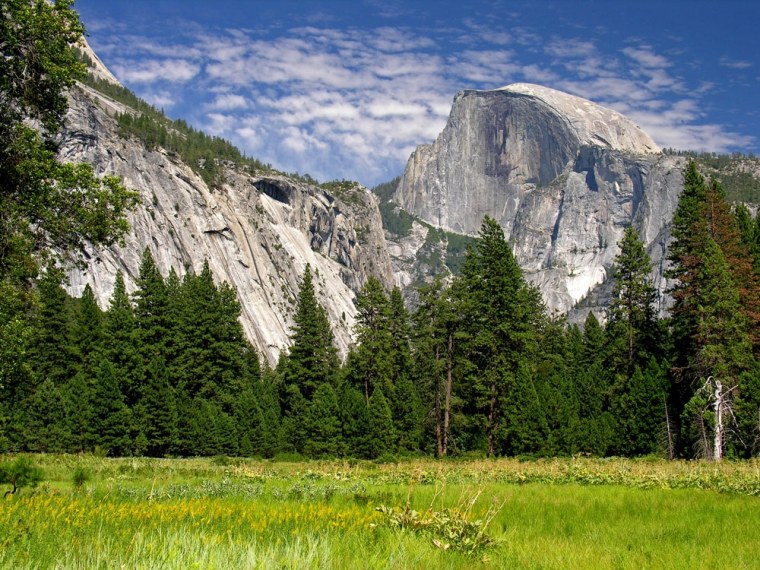 Half Dome from Cooks Meadow.